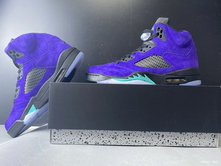 Rep Jordan Air  136027-500 “Alternate Grape” 5 0514